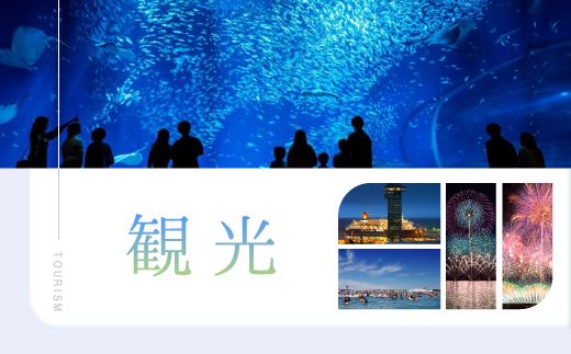 大洗町 共通 宿泊 クーポン 9,000円分 （3,000円×3枚） 関東 茨城