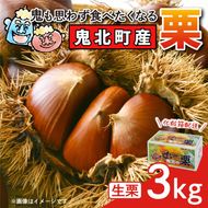 【鬼の栗拾い】鬼北町産くり 約3kg ｜ 大粒 生栗 和栗 国産栗 地域限定 丹波栗 くり 栗 栗ご飯 生栗 果物 フルーツ 先行予約 数量限定 JA えひめ南農業協同組合 ※2026年9月～発送 