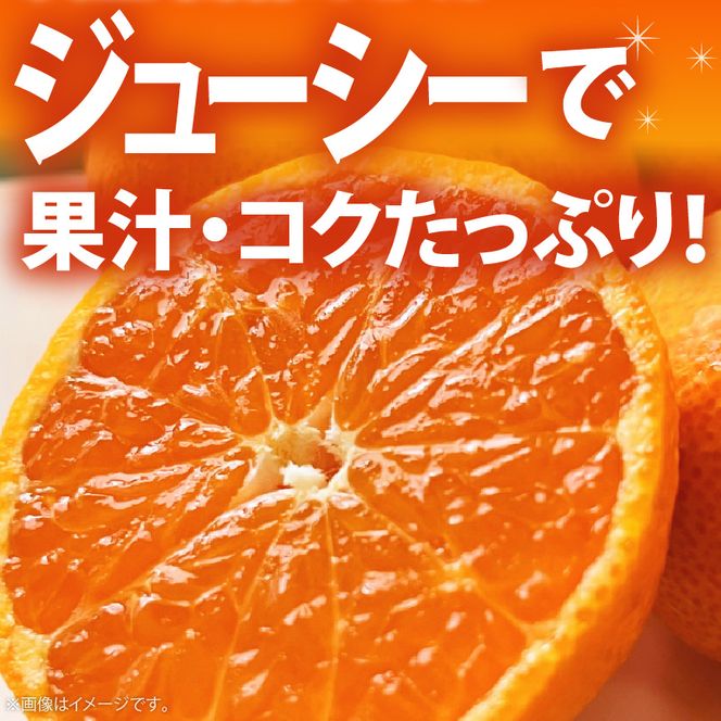 AB7303_【2026年先行予約】大玉田村みかん 2L・3Lサイズ 秀品 約5kg _ 和歌山プレミアムブランドみかん  大粒有 大きい 蜜柑 ミカン フルーツ 果物 ギフト お歳暮