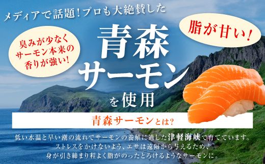 4-70　※2026年12月末までにお届け※国産トラウトサーモン【800g】