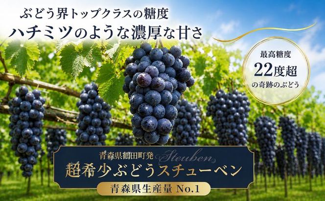 【園主厳選・秀】奇跡のぶどう スチューベン 2kg　最高糖度22度超！ わかな農園
