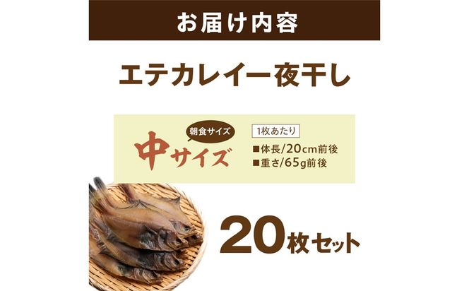 【店主一押し！絶品干物！高リピート！】エテカレイ一夜干し　中サイズ（朝食サイズ）20枚　YK00153