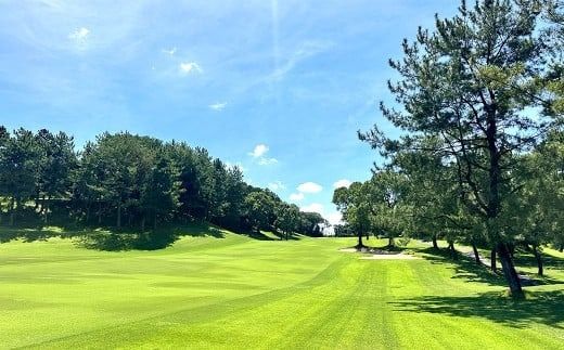 yɕ{szɕ{Sty Stp 24,000~ ^ St St Stꗘp `Pbg  Stv[ X|[c B  ɕ{s