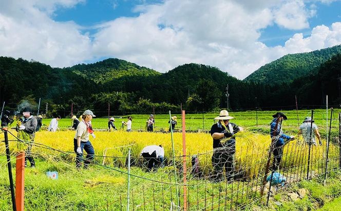 【京都岩倉坂原米作りプロジェクト】京都さかばら 角質ケアハンドクリーム(60g×1本)｜美容 コスメ 人気［ 京都 人気 おすすめ 米 コメ ギフト プレゼント 贈答 お取り寄せ 通販 送料無料 ふるさと納税 ］ 261009_B-GN10
