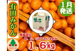 1月発送 等級混合 有田みかん M ～ SS以下 サイズ 約1.6kg 南泰園 和歌山 有田 みかん  	BS595