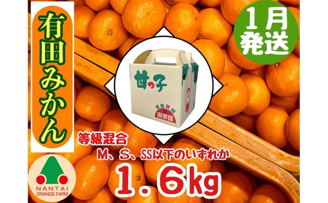 1月発送 等級混合 有田みかん M ～ SS以下 サイズ 約1.6kg 南泰園 和歌山 有田 みかん  	BS595