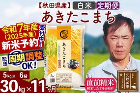 ※令和7年産 新米予約※《定期便11ヶ月》秋田県産 あきたこまち 30kg【白米】(5kg小分け袋) 2025年産 お届け周期調整可能 隔月に調整OK お米 みそらファーム|msrf-12311