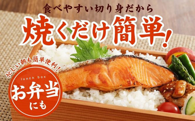 kgp0100 【訳あり】銀鮭 切り身 5kg(約32-45切れ)【規格外 甘塩 バラ凍結 海鮮 魚介 鮭 さけ しゃけ お弁当 朝食 おかず 簡単調理 家計応援】