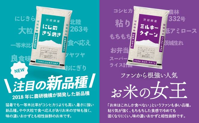 米 新米 20kg 令和8年産 【寄付額5250円~ /5kg当たり】白米 精米
