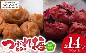 YD1003_紀州南高梅つぶれ梅詰合せ