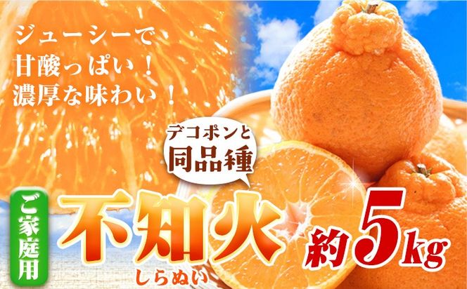 訳あり 不知火 デコポン 同品種 みかん ご家庭用 5kg+250g(傷み補償分) 池田鹿蔵農園 @日高町 《2月上旬-3月末頃より出荷予定》和歌山県 日高町 送料無料 しらぬい でこぽん 家庭用 訳あり不知火 訳ありデコポン 【配送不可地域あり】---wsh_idn335_2j3m_25_15000_5kg---