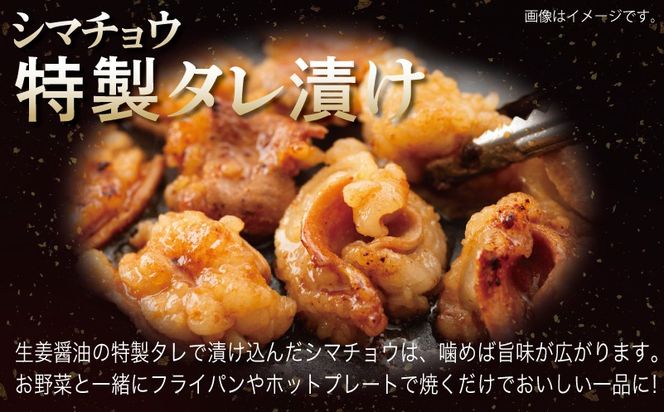 G3351 牛シマチョウ（タレ漬け+塩麹）＆塩麹漬け牛カルビの焼肉セット  合計1.5Kg（1袋250ｇ×各2袋） 【味付け 小分け 焼くだけ 簡単調理 BBQ 牛肉 ホルモン 250g×6袋】