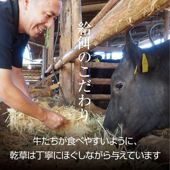 牛肉 京都もり牛 和牛 ホルモン 1kg 小分け 京都府産 国産 国産牛 黒毛和牛