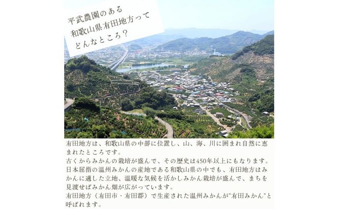 農家直送！きよみオレンジ 10kg 訳あり≪サイズ混合≫［平武農園］～蛍飛ぶ町から旬の便り～［2026年3月下旬から順次発送予定］ BX21