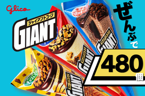 【定期便】グリコアイスクリーム40個詰め合わせ「12か月連続お届け」アイスセット 詰め合わせ 贈り物 お取り寄せ お中元 ギフト 送料無料 食べ比べ チョコ 配達 ファミリーパック