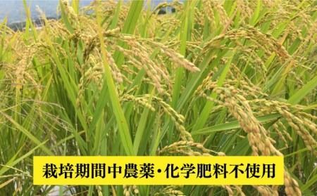 【令和7年産】伊都の米 （ ヒノヒカリ ） 2kg 糸島市 / 伊都福祉サービス協会 [APL001] 米 お米 ご飯 白米 玄米 ひのひかり 九州  令和7年産