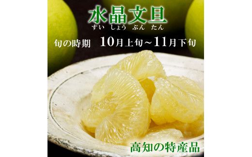 【先行予約】高知県産水晶文旦 特選ご贈答用 中玉6個入り〈2026年10月上旬～11月上旬頃発送〉ぶんたん ブンタン 水晶文旦 果物 柑橘 【白木果樹園】 [BQAI019]