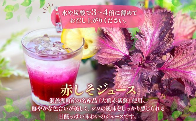 定期便 連続3回 北海道産 赤しそジュース アロニアジュース 500ml 各1本 希釈用 赤しそ アロニア 果汁 ジュース ドリンク 飲料 飲み物 フルーツ しそ シソ 紫蘇 贈答 詰め合わせ お取り寄せ 送料無料 ピュアフーズとうや 北海道 洞爺湖町