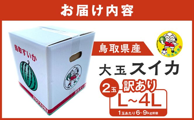 【先行予約】鳥取県北栄町産 大玉スイカ 訳あり(2玉セット)１玉あたり6-9キロ前後L-4L（こちらの返礼品は、大栄西瓜ではありません） 313726_CK008
