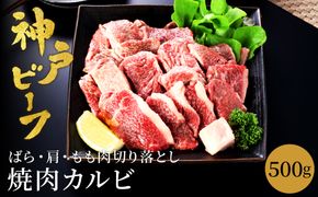 神戸牛 牛カルビ 焼肉用 切り落とし 500g【バラ・肩・モモ】/ 訳あり 牛肉 焼肉 カルビ 焼き肉 焼肉セット 赤身 黒毛和牛 赤身 霜降り 国産牛 牛肉切り落とし 牛 肉 やきにく 神戸ビーフ 太田牧場 太田牛 TYY1【但馬牛太田家】【好評につき2月以降順次発送】