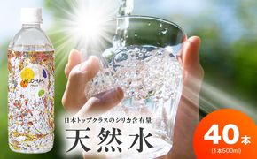 099H3807 天然水 500ml×40本【国産 シリカ水 ミネラルウォーター 高濃度シリカ 飲料水 防災 備蓄 ペットボトル ALOHAS】