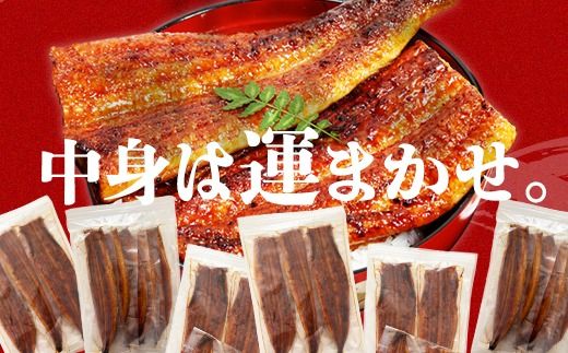 国産うなぎ蒲焼きガチャ福袋 500g入〈 うなぎ屋 かわすい 〉 (A1154-1) ｜ グルメ大賞連続受賞 特製タレ付 送料無料 高評価 人気 ギフト 贈り物 お歳暮 御歳暮 丑の日 お中元 特産品 和歌山県 有田市