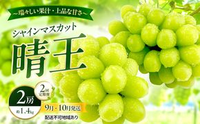 ぶどう 2026年 先行予約 定期便 シャインマスカット 晴王 2房 約1.4kg 9月・10月 2回発送 岡山県産 種無し 皮ごと食べる みずみずしい 甘い 瀬戸内 晴れの国 おかやま 果物大国 満天フルーツ