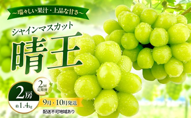 ぶどう 2026年 先行予約 定期便 シャインマスカット 晴王 2房 約1.4kg 9月・10月 2回発送 岡山県産 種無し 皮ごと食べる みずみずしい 甘い 瀬戸内 晴れの国 おかやま 果物大国 満天フルーツ