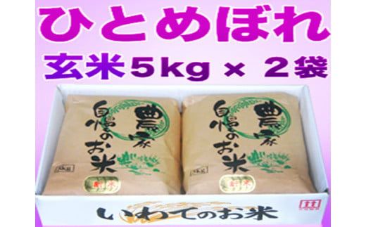 【12ヶ月定期便】減農薬栽培 ひとめぼれ 玄米 10kg（5kgx2袋） 【1113】