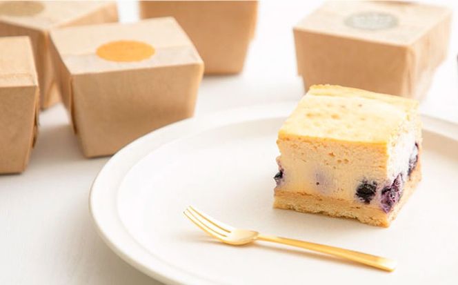 スクイーズ豪華セットマカロンくま超BIGチーズケーキなど17点
