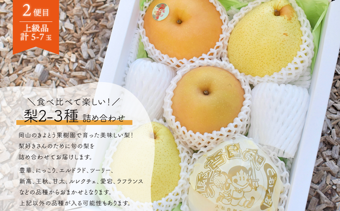 【2026年先行予約】シャインマスカットと梨詰め合わせ2-3種が届く！ぶどうと梨の上級品定期便(岡山県産)【KF-T053-03】