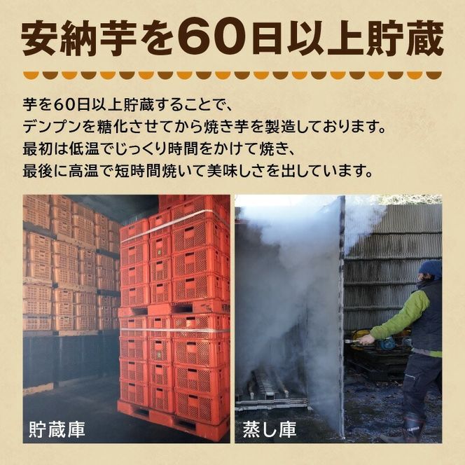 おやつ芋(安納芋焼き芋 3個×８袋) N0152-YA0483