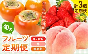【先行予約】【発送月固定定期便】紀州和歌山産 旬のフルーツ便（いちご・桃・富有柿）【全３回】魚鶴商店《2027年2月上旬-11月末頃出荷》 和歌山県 日高川町 まりひめいちご 紀州和歌山産の桃 富有柿 化粧箱 贈答用 定期便---wsgh_uotteif1_25_48000_2711y3---