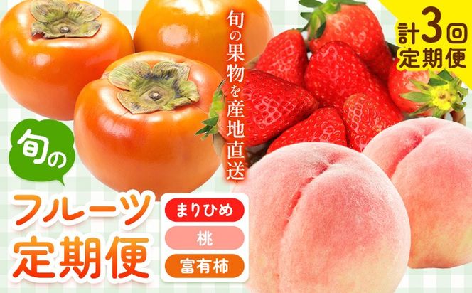 【先行予約】【発送月固定定期便】紀州和歌山産 旬のフルーツ便（いちご・桃・富有柿）【全３回】魚鶴商店《2027年2月上旬-11月末頃出荷》 和歌山県 日高川町 まりひめいちご 紀州和歌山産の桃 富有柿 化粧箱 贈答用 定期便---wsgh_uotteif1_25_48000_2711y3---