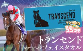 【TVで紹介！】【トランセンド】シャーリングフェイスタオル BRTV155