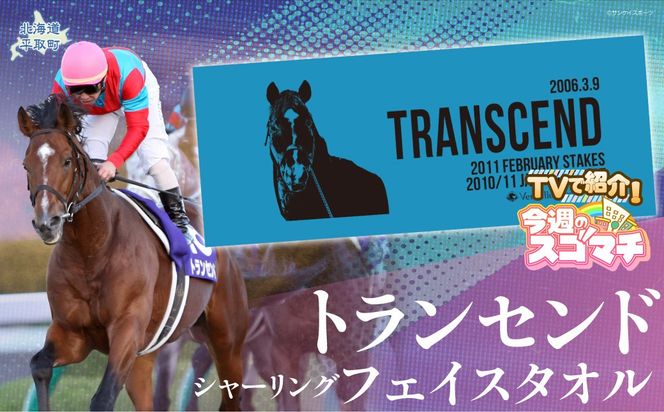 【TVで紹介！】【トランセンド】シャーリングフェイスタオル BRTV155