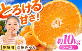 【11月末〜発送】温州みかん 10kg （S〜2L） / みかん ミカン 蜜柑 フルーツ 果物 旬 先行予約 柑橘 産地直送 家庭用 国産 / 南島原市 / 株式会社マルハチ[SFG005]