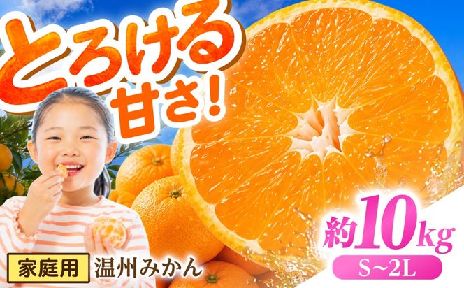 【11月末〜発送】温州みかん 10kg （S〜2L） / みかん ミカン 蜜柑 フルーツ 果物 旬 先行予約 柑橘 産地直送 家庭用 国産 / 南島原市 / 株式会社マルハチ[SFG005]