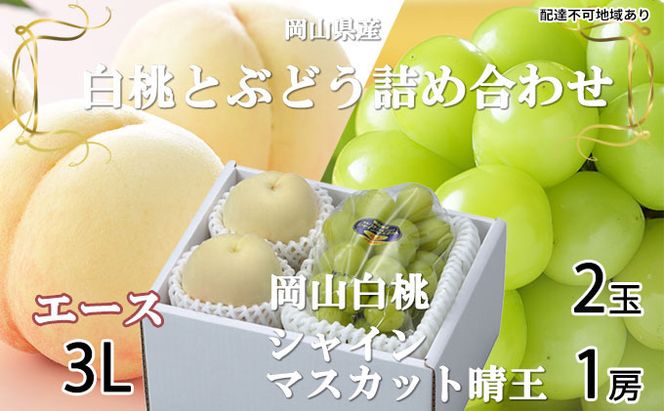 桃 ぶどう 2026年 先行予約 岡山 白桃 エース 2玉×約300g（3Lサイズ、早生種・中生種）シャイン マスカット 晴王 1房約600g  詰め合わせ 岡山県産 フルーツ 