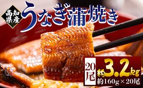 うなぎ 高知県産蒲焼きうなぎ １６０g ２０尾 計３２００ｇ fb-0185