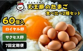 【定期便】7回定期【天王原のたまご】 サクセス卵30個/ロイヤル卵30個 【7回定期便 セット たまご 卵 玉子 タマゴ 濃厚 食べ比べ ハリ 弾力 ボリューム 甘味 旨味 卵黄 風味 生 コク 甘味 卵かけご飯 卵焼き 目玉焼き オムレツ 茶碗蒸し お菓子作り パンの材料】