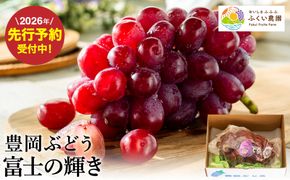 【2026年先行予約】豊岡ぶどう 富士の輝き 600g / 豊岡ブドウ 産地直送 濃厚 甘味 コク 皮ごと 食べられる 減農薬 ぶどう ブドウ 葡萄 果物 くだもの フルーツ ふくい農園