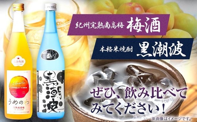 本格米焼酎 黒潮波 （くろしおなみ） と 紀州完熟南高梅 梅酒 720ml×各1本 2本セット 厳選館《90日以内に出荷予定(土日祝除く)》 和歌山県 日高町 酒 梅酒 焼酎 米焼酎 果実酒---wsh_gsk175_90d_25_14000_2p---