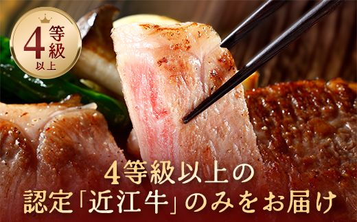 【9月発送分】極上近江牛サーロインステーキ【400g(200g×2枚)】【CB08W-9m】