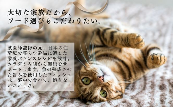 日本ペットフード ビューティープロ キャット 下部尿路の健康維持 1歳から 1.4kg（280g×5袋入）×8袋（ケース） キャットフード