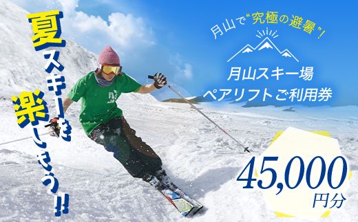 FYN6-542 月山スキー場ペアリフトで使える リフトご利用券 45000円分 月山スキー 月山登山 スキー 登山 山登り ハイキング トレッキング 旅行 体験 チケット 山形県 西川町 月山