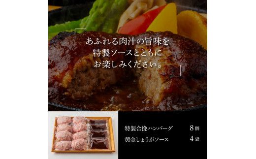 CDM010　 1/1～寄附額変更 生姜好きにオススメ！老舗レストランの国産牛・美鮮豚ハンバーグ120g×8ケ＋黄金しょうがソース×4袋 ハンバーグ セット 16000円 牛肉 豚肉 和牛 美味しい おいしい 小分けパック 個包装 冷凍 食品 