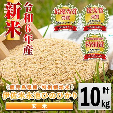 isa199 令和6年産 新米 特別栽培米 永池ひのひかり玄米(10kg) 鹿児島でも極良食味のお米が出来る永池地区で作ったお米！九州米サミット食味コンテスト最優秀賞2回受賞【エコファーム永池】