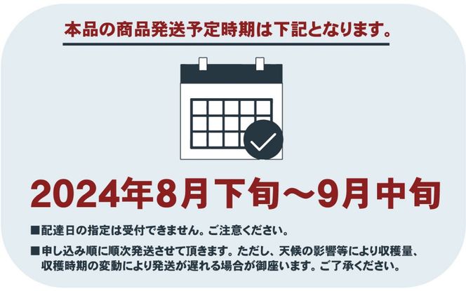 【2025年先行予約】朝もぎ直送「桃 白桃系」5～8玉 約2kg規格箱入り【高機能共選機使用】選び抜かれた桃《もも 先行予約》　山梨県産 モモ/ フルーツ 果物 くだもの 人気 産地直送/厳選  贈答 贈り物