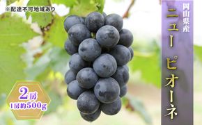 ぶどう 2026年 先行予約 ニュー ピオーネ 2房（1房約500g） ブドウ 葡萄  岡山県産 国産 フルーツ 果物 ギフト
